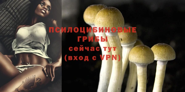 твердый Армянск