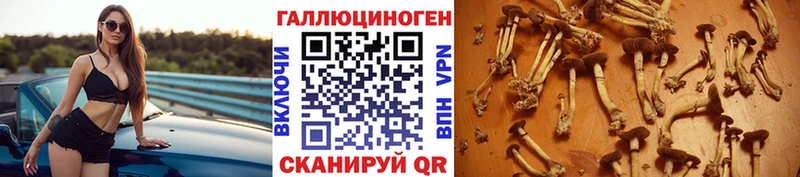 Галлюциногенные грибы мицелий Оханск